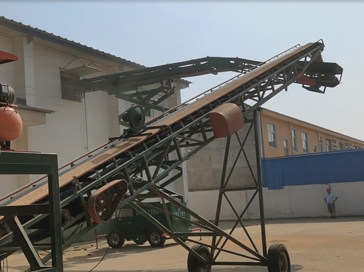working of mobile hydraulic lifting and filling belt conveyor_副本