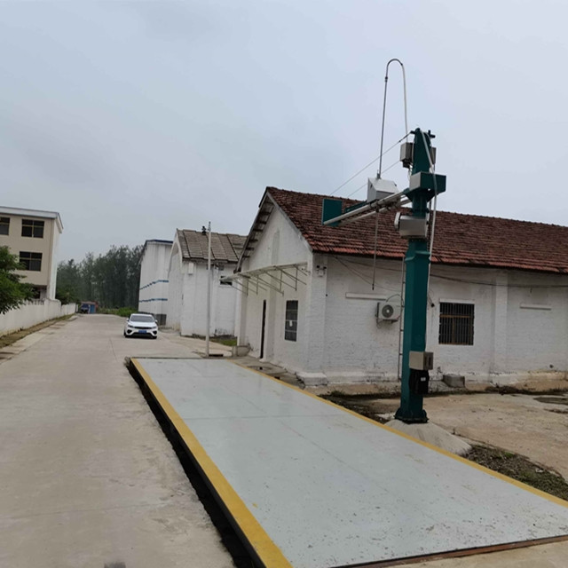 Fixed grain truck probe