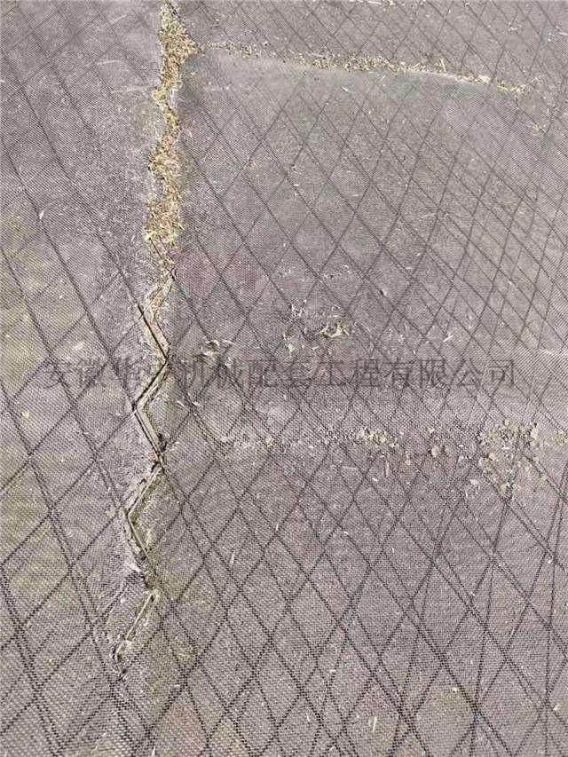 The damaged mesh state when the mesh is not replaced