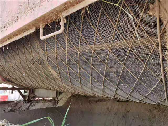 The mesh state when the mesh is not replaced