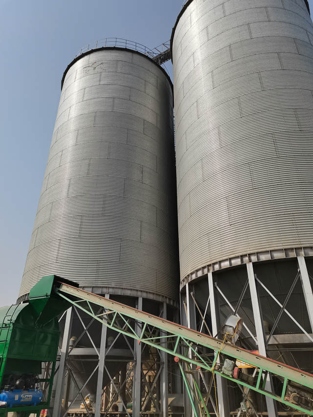 Working live picture of environmental protection cylindrical grain cleaner