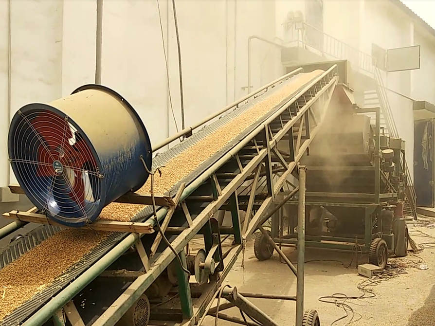 Dust contamination in the collection site