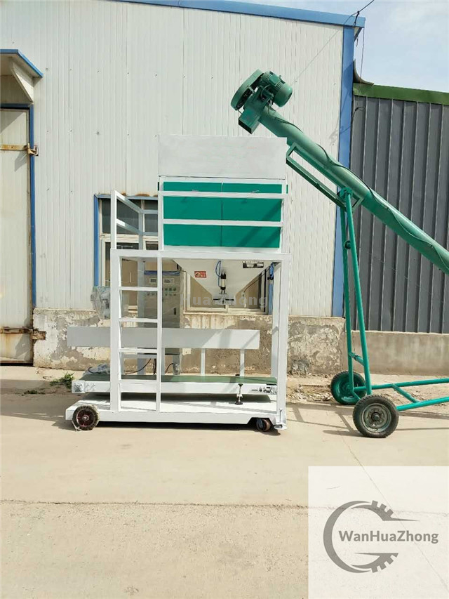 Metering automatic filling machine