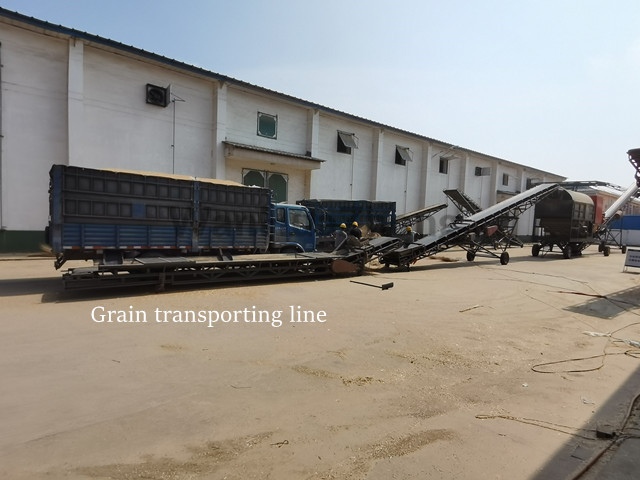 Bulk grain unloading belt conveyor