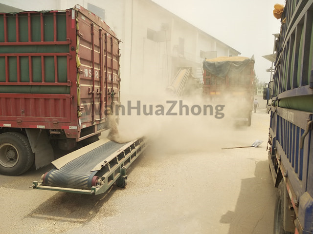 Bulk grain unloading belt conveyor is working 