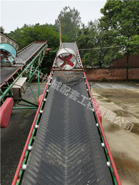 650mm conveyor belt